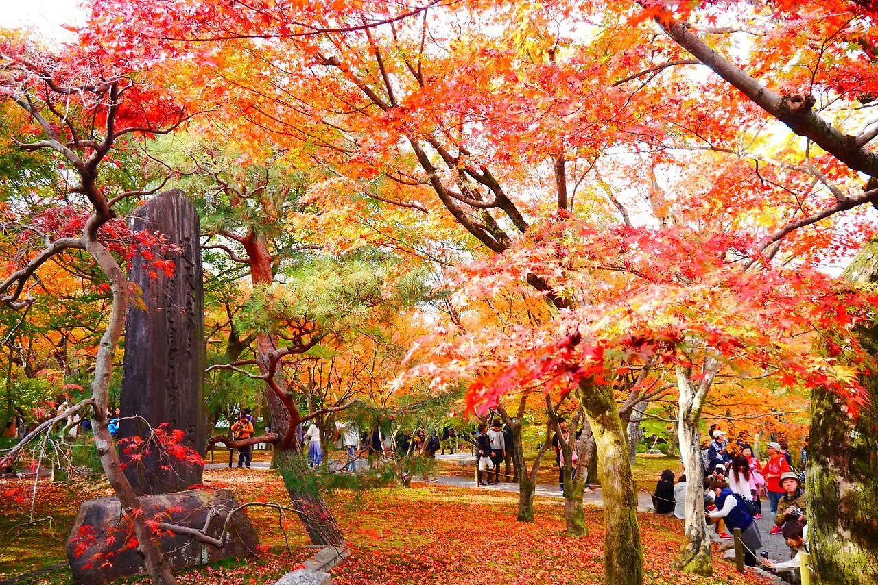 ***  Japaning Hotel Libre Tofukuji Kyoto Japan