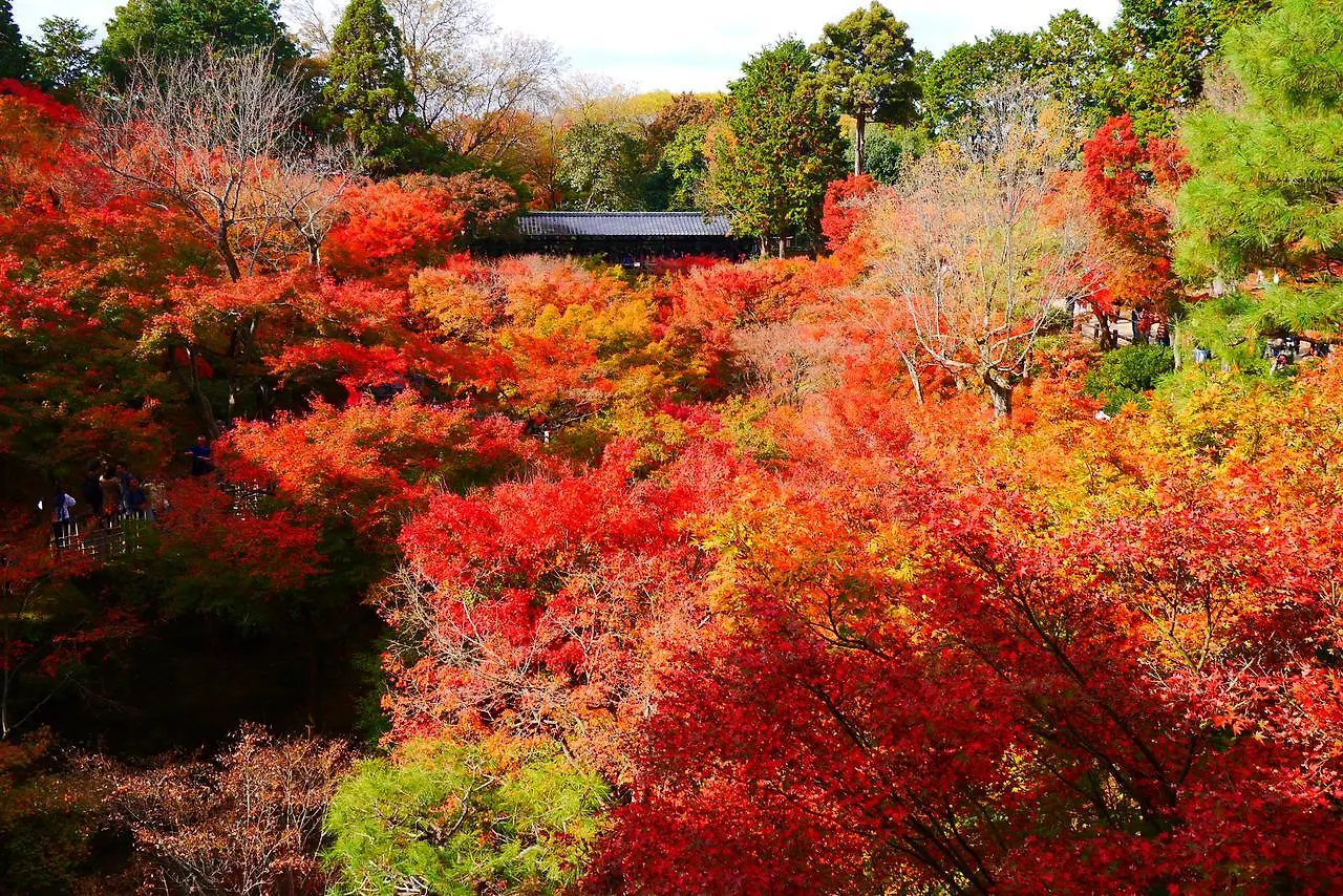 Japaning Hotel Libre Tofukuji Kyoto